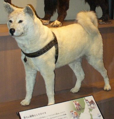 Hachiko Museum