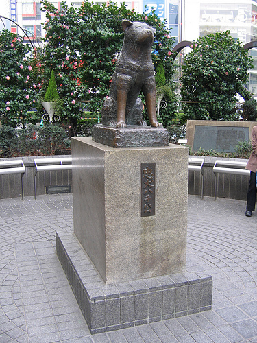 Hachiko