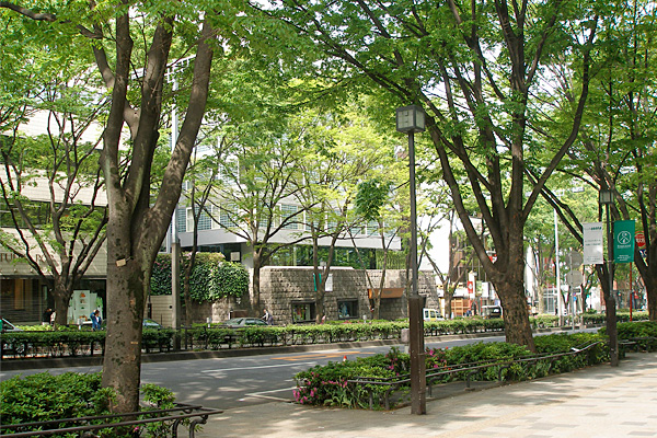 Omotesando 